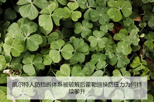 凯尔特人防挡拆体系被破解后霍勒迪换防压力为何持续攀升